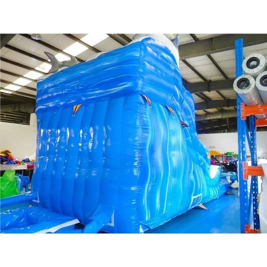 Inflatable Dolphin Water Slide For Sale, Buy Inflatable Slide, China ...