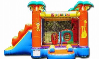 Are Bouncy Castles a Profitable Investment for Event Rentals?