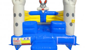 What are the risks of mold on a Bouncy Castle? What are the risks of mold on a Bouncy Castle?