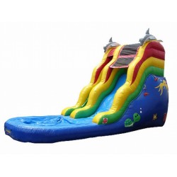 16'Ft Dolphin Slide 16'Ft Dolphin Slide