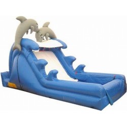 Inflatable Dolphin Slide