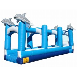 Dolphin Slip And Slide Dolphin Slip And Slide