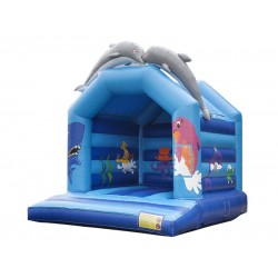 Bouncy Castle Dolphin