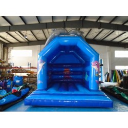 Bouncy Castle Dolphin Bouncy Castle Dolphin